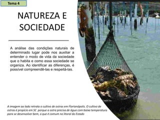 NATUREZA E
SOCIEDADE
A análise das condições naturais de
determinado lugar pode nos auxiliar a
entender o modo de vida da sociedade
que o habita e como essa sociedade se
organiza. Ao identificar as diferenças, é
possível compreendê-las e respeitá-las.
Tema 4
A imagem ao lado retrata o cultivo de ostras em Florianópolis. O cultivo de
ostras é propício em SC porque a ostra precisa de água com baixa temperatura
para se desenvolver bem, o que é comum no litoral do Estado
 