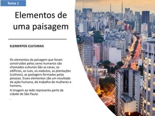Elementos de
uma paisagem
ELEMENTOS CULTURAIS
Os elementos da paisagem que foram
construídos pelos seres humanos são
chamados culturais São as casas, os
edifícios, as ruas, os viadutos, as plantações
(cultivos), as pastagens formadas pelas
pessoas. Esses elementos são um resultado
da ação humana, do trabalho de mulheres e
homens.
A imagem ao lado representa parte da
cidade de São Paulo.
.
Tema 1
 