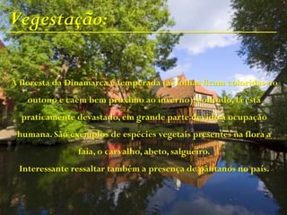 Vegestação:
A floresta da Dinamarca é temperada (as folhas ficam coloridas no
outono e caem bem próximo ao inverno), contudo, lá está
praticamente devastado, em grande parte devido a ocupação
humana. São exemplos de espécies vegetais presentes na flora a
faia, o carvalho, abeto, salgueiro.
Interessante ressaltar também a presença de pântanos no país.
 