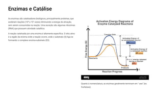 Enzimas e Catálise
As enzimas são catalisadores biológicos, principalmente proteínas, que
aceleram reações (10u a 10w vezes) diminuindo a energia de ativação,
sem serem consumidas na reação. Uma exceção são algumas ribozimas
(RNA) que possuem atividade catalítica.
A reação catalisada por uma enzima é altamente específica. O sítio ativo
é a região da enzima onde a reação ocorre, onde o substrato (S) liga-se
formando o complexo enzima-substrato (ES).
Quanto à nomenclatura, as enzimas geralmente terminam em "-ase" (ex:
fosfatase).
 