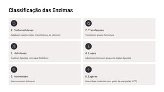 Classificação das Enzimas
1. Oxidorredutases
Catalisam reações redox (transferência de elétrons)
2. Transferases
Transferem grupos funcionais
3. Hidrolases
Quebram ligações com água (hidrólise)
4. Liases
Adicionam/removem grupos de duplas ligações
5. Isomerases
Interconvertem isômeros
6. Ligases
Unem duas moléculas com gasto de energia (ex: ATP)
 