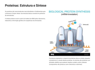Proteínas: Estrutura e Síntese
As proteínas são macromoléculas mais abundantes e fundamentais para
a estrutura e função celular. Sua estrutura básica consiste em polímeros
de aminoácidos.
A síntese proteica ocorre a partir de moldes de mRNA pelos ribossomos,
traduzindo a informação genética em sequências de aminoácidos.
O proteoma representa o conjunto de proteínas ativas na célula, enquanto
a proteômica é o estudo dessas proteínas. As enzimas são proteínas com
atividade catalítica que aceleram reações e podem conter cofatores
(componentes não proteicos como coenzimas e vitaminas).
 