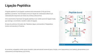 Ligação Peptídica
A ligação peptídica é uma ligação covalente entre aminoácidos (C-N) que forma
peptídeos e proteínas. Sua formação ocorre por reação de condensação (libera H¢O),
catalisada pela maquinaria de síntese de proteínas (ribossomos).
Uma característica importante da ligação peptídica é seu caráter parcial de ligação dupla,
que restringe o movimento e mantém o plano da ligação.
Os tipos de polímeros formados são: Peptídeos (alguns aminoácidos), Polipeptídeos
(muitos aminoácidos) e Proteínas.
As proteínas conjugadas contêm grupo prostético (não-aminoácido) essencial para a função, como lipoproteínas (com lipídios), glicoproteínas (com
carboidratos) e hemeproteínas (com heme).
 