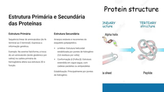 Estrutura Primária e Secundária
das Proteínas
Estrutura Primária
Sequência linear de aminoácidos (do N-
terminal ao C-terminal). Expressa a
informação genética.
Exemplo: Na anemia falciforme, a troca
de um aminoácido (ácido glutâmico por
valina) na cadeia primária da
hemoglobina altera sua estrutura 3D e
função.
Estrutura Secundária
Arranjos estáveis e recorrentes do
esqueleto polipeptídico.
³-Hélice: Estrutura helicoidal
estabilizada por pontes de hidrogênio
(3,6 resíduos por volta)
Conformação ´ (Folha ´): Estrutura
estendida em zigue-zague, com
cadeias paralelas ou antiparalelas
Estabilização: Principalmente por pontes
de hidrogênio.
 