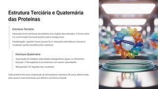 Estrutura Terciária e Quaternária
das Proteínas
Estrutura Terciária
Interações entre estruturas secundárias e/ou regiões desordenadas. A forma nativa
é a conformação funcional estável (menor energia livre).
Estabilização: Ligações fracas (pontes de H, interações hidrofóbicas, iônicas) e
covalentes (ponte dissulfeto entre cisteínas).
Estrutura Quaternária
Associação de múltiplas subunidades polipeptídicas (iguais ou diferentes).
Exemplo: A hemoglobina é um tetrâmero com quatro subunidades.
Manutenção: Por ligações não covalentes.
Cada proteína tem uma composição de aminoácidos e estrutura 3D única, determinada
pelos quatro níveis estruturais que definem sua forma e função.
 
