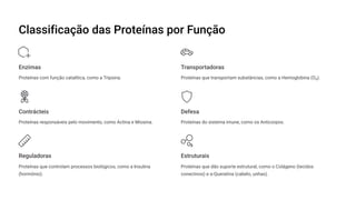 Classificação das Proteínas por Função
Enzimas
Proteínas com função catalítica, como a Tripsina.
Transportadoras
Proteínas que transportam substâncias, como a Hemoglobina (O¢).
Contrácteis
Proteínas responsáveis pelo movimento, como Actina e Miosina.
Defesa
Proteínas do sistema imune, como os Anticorpos.
Reguladoras
Proteínas que controlam processos biológicos, como a Insulina
(hormônio).
Estruturais
Proteínas que dão suporte estrutural, como o Colágeno (tecidos
conectivos) e ³-Queratina (cabelo, unhas).
 