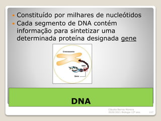 DNA
 Constituído por milhares de nucleótidos
 Cada segmento de DNA contém
informação para sintetizar uma
determinada pro...