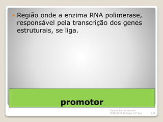 promotor
 Região onde a enzima RNA polimerase,
responsável pela transcrição dos genes
estruturais, se liga.
Cláudia Barro...