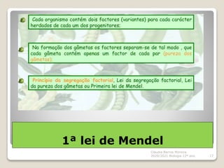 1ª lei de Mendel
Cláudia Barros Moreira
2020/2021 Biologia 12º ano 17
 