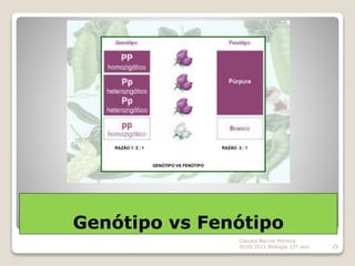 Genótipo vs Fenótipo
Cláudia Barros Moreira
2020/2021 Biologia 12º ano 29
 