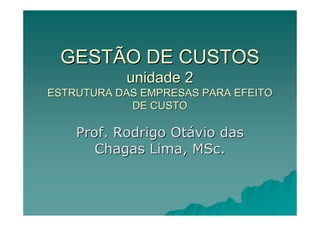GESTÃO DE CUSTOS
           unidade 2
ESTRUTURA DAS EMPRESAS PARA EFEITO
            DE CUSTO

    Prof. Rodrigo Otávio das
       Chagas Lima, MSc.
 