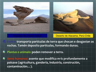    Vento :  transporta partículas de terra que chocan e desgastan as rochas. Tamén deposita partículas, formando dunas. Plantas e animais:  poden remover a terra.  Seres humanos:  axente que modifica máis profundamente a paisaxe (agricultura, gandería, industria, construción, contaminación…). Exemplo de erosión eólica Deserto de Atacama, Perú-Chile 
