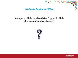 Unidade básica da Vida

Será que a célula das bactérias é igual à célula
         dos animais e das plantas?
 