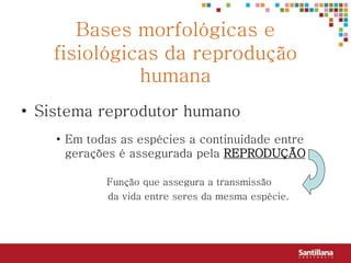 Bases morfológicas e
    fisiológicas da reprodução
              humana
• Sistema reprodutor humano
    • Em todas as espécies a continuidade entre
      gerações é assegurada pela REPRODUÇÃO

            Função que assegura a transmissão
            da vida entre seres da mesma espécie.
 