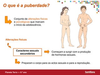 O que é a puberdade?

         Conjunto de alterações físicas
         e psicológicas que marcam
         o início da adolescência.




 Alterações físicas



           Caracteres sexuais             Começam a surgir com a produção
              secundários                 de hormonas sexuais.


                 Preparam o corpo para os actos sexuais e para a reprodução.


Planeta Terra — 9.º ano
 