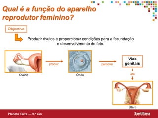 Qual é a função do aparelho
reprodutor feminino?
 Objectivo

              Produzir óvulos e proporcionar condições para a fecundação
                               e desenvolvimento do feto.


                                                                    Vias
                           produz                     percorre     genitais

        Ovário                          Óvulo                         até




                                                                     Útero

 Planeta Terra — 9.º ano
 
