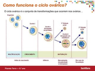 Como funciona o ciclo ovárico?
O ciclo ovárico é o conjunto de transformações que ocorrem nos ovários…




Planeta Terra — 9.º ano
 