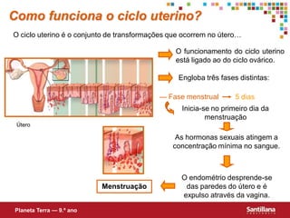 Como funciona o ciclo uterino?
O ciclo uterino é o conjunto de transformações que ocorrem no útero…

                                                O funcionamento do ciclo uterino
                                                está ligado ao do ciclo ovárico.

                                                 Engloba três fases distintas:

                                           — Fase menstrual        5 dias
                                                  Inicia-se no primeiro dia da
                                                          menstruação
 Útero

                                                As hormonas sexuais atingem a
                                               concentração mínima no sangue.



                                                  O endométrio desprende-se
                          Menstruação              das paredes do útero e é
                                                  expulso através da vagina.

Planeta Terra — 9.º ano
 