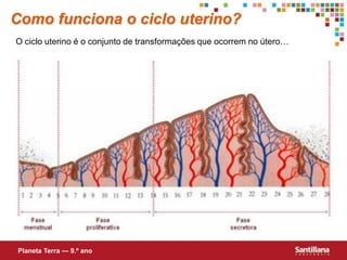 Como funciona o ciclo uterino?
O ciclo uterino é o conjunto de transformações que ocorrem no útero…




Planeta Terra — 9.º ano
 