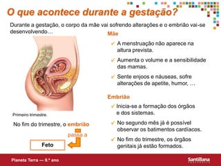 O que acontece durante a gestação?
Durante a gestação, o corpo da mãe vai sofrendo alterações e o embrião vai-se
desenvolvendo…                        Mãe
                                        A menstruação não aparece na
                                         altura prevista.
                                        Aumenta o volume e a sensibilidade
                                         das mamas.
                                        Sente enjoos e náuseas, sofre
                                         alterações de apetite, humor, …

                                      Embrião
                                        Inicia-se a formação dos órgãos
 Primeiro trimestre.                     e dos sistemas.

 No fim do trimestre, o embrião         No segundo mês já é possível
                                         observar os batimentos cardíacos.
                          passa a
                                        No fim do trimestre, os órgãos
                Feto                     genitais já estão formados.

Planeta Terra — 9.º ano
 