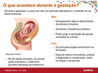 O que acontece durante a gestação?
Durante a gestação, o corpo da mãe vai sofrendo alterações e o embrião vai-se
desenvolvendo…
                                         Mãe
                                            Desaparecem alguns desconfortos
                                             do primeiro trimestre.

                                            Aumenta a frequência cardíaca.

                                            Pode surgir a sensação de pernas
                                             cansadas ou varizes.

                                         Feto
                                           Os principais órgãos encontram-se
                                            formados.
 Segundo trimestre.
                                            Executa vários movimentos, pratica
                                             a deglutição e a respiração, mexe
  No fim deste trimestre, se ocorrer
   parto prematuro, o bebé tem               os braços e as pernas.
   grandes hipóteses de sobreviver.

Planeta Terra — 9.º ano
 