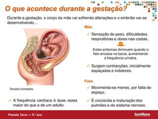 O que acontece durante a gestação?
Durante a gestação, o corpo da mãe vai sofrendo alterações e o embrião vai-se
desenvolvendo…
                                           Mãe
                                            Sensação de peso, dificuldades
                                             respiratórias e dores nas costas.

                                                 Estes sintomas diminuem quando o
                                                 feto encaixa na bacia, aumentando
                                                        a frequência urinária.

                                            Surgem contracções, inicialmente
                                             espaçadas e indolores.

                                          Feto
 Terceiro trimestre.                        Movimenta-se menos, por falta de
                                             espaço.

  A frequência cardíaca é duas vezes       É concluída a maturação dos
   maior do que a de um adulto.              pulmões e do sistema nervoso.

Planeta Terra — 9.º ano
 