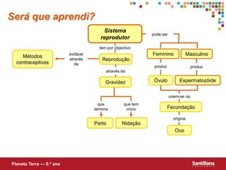 Será que aprendi?
                                         Sistema
                                                              pode ser
                                        reprodutor
                                       tem por objectivo

    Métodos               evitável                            Feminino               Masculino
                          através        Reprodução
  contraceptivos             de
                                                               produz                  produz
                                           através da

                                          Gravidez             Óvulo          Espermatozóide


                                                                         unem-se na
                                       que          que tem
                                     termina         início             Fecundação

                                                                           origina
                                     Parto         Nidação
                                                                            Ovo




Planeta Terra — 9.º ano
 