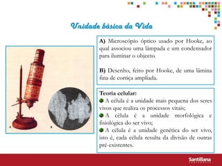 Unidade básica da Vida
       A) Microscópio óptico usado por Hooke, ao
       qual associou uma lâmpada e um condensador
       para iluminar o objecto.

       B) Desenho, feito por Hooke, de uma lâmina
       fina de cortiça ampliada.

       Teoria celular:
          A célula é a unidade mais pequena dos seres
       vivos que realiza os processos vitais;
          A célula é a unidade morfológica e
       fisiológica do ser vivo;
          A célula é a unidade genética do ser vivo,
       isto é, cada célula resulta da divisão de outras
       pré-existentes.
 