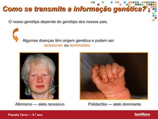 O nosso genótipo depende do genótipo dos nossos pais.
Algumas doenças têm origem genética e podem ser:
recessivas ou dominantes.
Albinismo — alelo recessivo Polidactilia — alelo dominante
Como se transmite a informação genética?Como se transmite a informação genética?
Planeta Terra — 9.º ano
 