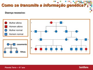 Doença recessiva:
Mulher albina
Homem albino
Mulher normal
Homem normal
casamento
filhos
Como se transmite a informação genética?Como se transmite a informação genética?
Planeta Terra — 9.º ano
 