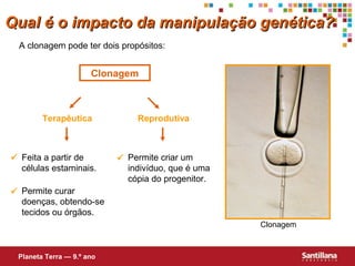 Clonagem
A clonagem pode ter dois propósitos:
Terapêutica Reprodutiva
Feita a partir de
células estaminais.

Permite curar
doenças, obtendo-se
tecidos ou órgãos.

Permite criar um
indivíduo, que é uma
cópia do progenitor.

Qual é o impacto da manipulação genética?Qual é o impacto da manipulação genética?
Planeta Terra — 9.º ano
Clonagem
 