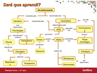 Será que aprendi?Será que aprendi?
Hereditariedade
Pares
homólogos
ADN
Cromossoma
s
Transgénico
s
estudada pela
Tecnologias
Terapêutica
Clonagem
Recessivos
Alelos
Fenótipos
transmissão dos
manipulado pela
que
desenvolveu
que permitem
produzir
através da
pode ser
agrupado
em
podem ser
que forma formam
localizados
nos
podem
ter
que são
os
Reprodutiv
a
Clones
Genética
Genoma
Dominantes
Genes
constituem
determinados pelo
Planeta Terra — 9.º ano
Caracteres
que
determinam
 