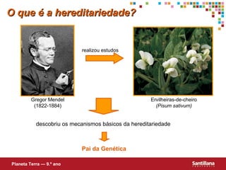 realizou estudos
descobriu os mecanismos básicos da hereditariedade
Pai da Genética
O que é a hereditariedade?O que é a hereditariedade?
Gregor Mendel
(1822-1884)
Planeta Terra — 9.º ano
Ervilheiras-de-cheiro
(Pisum sativum)
 
