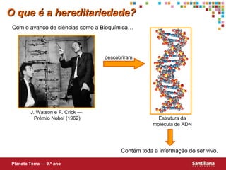 descobriram
Com o avanço de ciências como a Bioquímica…
Contém toda a informação do ser vivo.
O que é a hereditariedade?O que é a hereditariedade?
Estrutura da
molécula de ADN
Planeta Terra — 9.º ano
J. Watson e F. Crick —
Prémio Nobel (1962)
 