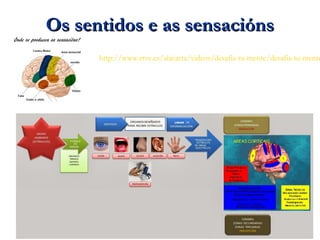 Os sentidos e as sensaciónsOs sentidos e as sensacións
http://www.rtve.es/alacarta/videos/desafia-tu-mente/desafia-tu-mente
 