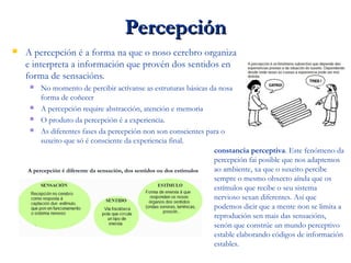 PercepciónPercepción
 A percepción é a forma na que o noso cerebro organiza
e interpreta a información que provén dos sentidos en
forma de sensacións.
 No momento de percibir actívanse as estruturas básicas da nosa
forma de coñecer
 A percepción require abstracción, atención e memoria
 O produto da percepción é a experiencia.
 As diferentes fases da percepción non son conscientes para o
suxeito que só é consciente da experiencia final.
A percepción é diferente da sensación, dos sentidos ou dos estímulos
constancia perceptiva. Este fenómeno da
percepción fai posible que nos adaptemos
ao ambiente, xa que o suxeito percibe
sempre o mesmo obxecto aínda que os
estímulos que recibe o seu sistema
nervioso sexan diferentes. Así que
podemos dicir que a mente non se limita a
reprodución sen mais das sensacións,
senón que constrúe un mundo perceptivo
estable elaborando códigos de información
estables.
 