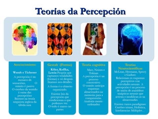 Teorías da PercepciónTeorías da Percepción
 
