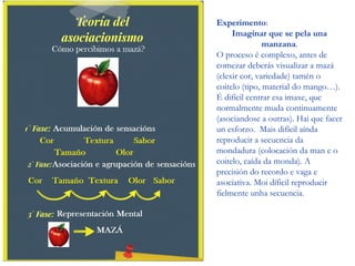 Experimento:
Imaginar que se pela una
manzana.
O proceso é complexo, antes de
comezar deberás visualizar a mazá
(elexir cor, variedade) tamén o
coitelo (tipo, material do mango…).
É difícil centrar esa imaxe, que
normalmente muda continuamente
(asociandose a outras). Hai que facer
un esforzo. Mais difícil aínda
reproducir a secuencia da
mondadura (colocación da man e o
coitelo, caída da monda). A
precisión do recordo e vaga e
asociativa. Moi díficil reproducir
fielmente unha secuencia.
 