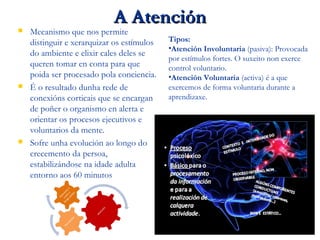 A AtenciónA Atención
 Mecanismo que nos permite
distinguir e xerarquizar os estímulos
do ambiente e elixir cales deles se
queren tomar en conta para que
poida ser procesado pola conciencia.
 É o resultado dunha rede de
conexións corticais que se encargan
de poñer o organismo en alerta e
orientar os procesos ejecutivos e
voluntarios da mente.
 Sofre unha evolución ao longo do
crecemento da persoa,
estabilizándose na idade adulta
entorno aos 60 minutos
Tipos:
•Atención Involuntaria (pasiva): Provocada
por estímulos fortes. O suxeito non exerce
control voluntario.
•Atención Voluntaria (activa) é a que
exercemos de forma voluntaria durante a
aprendizaxe.
 