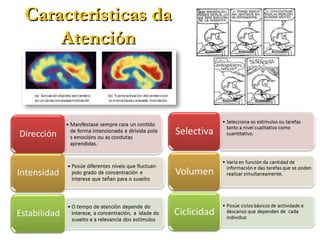 Características daCaracterísticas da
AtenciónAtención
 