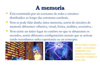 A memoriaA memoria
 Éstá constituída por un conxunto de redes e circuítos
distribuídos ao longo das estruturas cerebrais.
 Non se pode falar dunha única memoria, senón de circuítos de
memoria diferentes: olfactiva, visual, lóxica, analítica, asociativa...
 Non existe un único lugar no cerebro no que se almacenen os
recordos, senón diferentes configuracións neurais que se activan
cando recordamos unha experiencia ou un concepto.
A memoria non é isto Mais ben é isto
Os recordos creánse
cando as neuronas
integradas nun
circuíto reforzan as
conexións sinápticas
entre elas
 