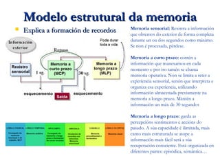 Modelo estrutural da memoriaModelo estrutural da memoria
 Explica a formación de recordosExplica a formación de recordos Memoria sensorial: Rexistra a información
que obtemos do exterior de forma completa
durante un ou dos segundos como máximo.
Se non é procesada, pérdese.
Memoria a curto prazo: contén a
información que manexamos en cada
momento e por iso tamén se chama
memoria operativa. Non se limita a reter a
experiencia sensorial, senón que interpreta e
organiza esa experiencia, utilizando
información almacenada previamente na
memoria a longo prazo. Mántén a
información un máx de 30 segundos
Memoria a longo prazo: garda as
percepcións sentimentos e accións do
pasado. A súa capacidade é ilimitada, mais
canto mais estruturada se atope a
información mais fácil será a súa
recuperación consciente. Está organizada en
diferentes partes: episódica, semántica…
 