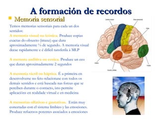 A formación de recordosA formación de recordos
 Memoria sensorialMemoria sensorial
Temos memorias sensoriais para cada un dos
sentidos:
A memoria visual ou icónica. Produce copias
exactas do obxecto (imaxe) que dura
aproximadamente ¼ de segundo. A memoria visual
decae rapidamente e é difícil tansferila á MLP
A memora auditiva ou ecoica. Produce un eco
que duran aproximadamente 2 segundos
A memoria táctil ou háptica. É a primeira en
desenvolverse no feto relacionase con todos os
demais sentidos e está baseada nas forzas que se
perciben durante o contacto, isto permite
aplicacións en realidade virtual e en medicina
A memorias olfativas e gustativas. Están muy
conectadas con el sistema límbico y las emociones.
Produce refuerzos potentes asociados a emociones
 