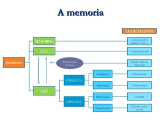 A memoriaA memoria
MEMORIA
LOCALIZACION
Corteza sensitiva
(auditiva, visual…)
Corteza prefrontal
Lóbulo temporal,
Hipocampo
Lóbulo frontal
Lóbulo frontal
Amígdala
Cerebelo, cortiza
motora
Semántica
Episódica
Emocional
Procedimental
EXPLICITA
IMPLICITA
MCP
SENSORIAL
MLP
Transferencia
de datos
 