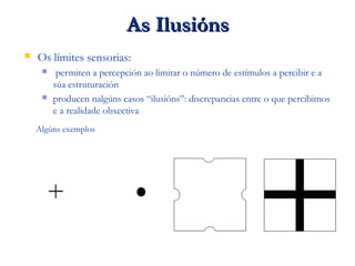 As IlusiónsAs Ilusións
 Os límites sensorias:
 permiten a percepción ao limitar o número de estímulos a percibir e a
súa estruturación
 producen nalgúns casos “ilusións”: discrepancias entre o que percibimos
e a realidade obxectiva
Algúns exemplos:
 