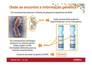 Onde se encontra a informação genética?
 Os cromossomas possuem milhares de pequenos segmentos de ADN.


                                 Gene           Cada característica pode ser
                                             determinada por um ou mais genes.




 Os cromossomas homólogos
  possuem os mesmos genes.
     Estes, podem conter            Alelos
informações diferentes para as
    mesmas características.

        Conjunto de todos os genes do ADN.          Genoma

 Planeta Terra — 9.º ano
 