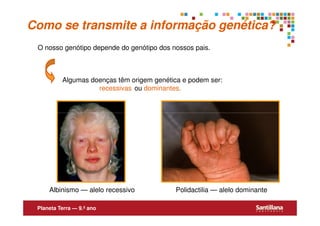 Como se transmite a informação genética?
 O nosso genótipo depende do genótipo dos nossos pais.



          Algumas doenças têm origem genética e podem ser:
                    recessivas ou dominantes.




     Albinismo — alelo recessivo            Polidactilia — alelo dominante

 Planeta Terra — 9.º ano
 