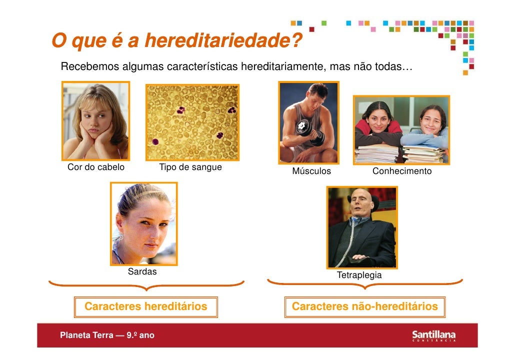O Nome Da Unidade Básica Da Hereditariedade