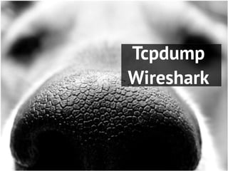 Tcpdump
Wireshark
 