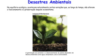 Desastres Ambientais
No equilíbrio ecológico, acontecem naturalmente certas variações que, ao longo do tempo, não alteram
o funcionamento e a preservação daquele ecossistema.
A germinação da semente e o desenvolvimento da planta dependem de
fatores ambientais como água, temperatura, solo e luminosidade.
 